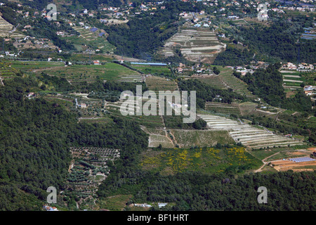 Die Côte de Bellet Weinberge in der Nähe von Nizza Stadt Stockfoto