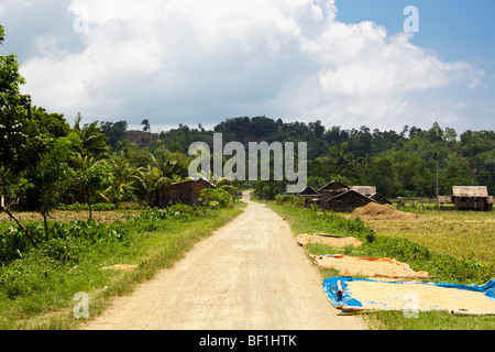 Reis Trocknen auf planen entlang der Seite der Straße. Iloilo, Philippinen Stockfoto