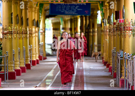 Mönche Studium innerhalb einer Schule, Bago, Yangon, Myanmar. Stockfoto