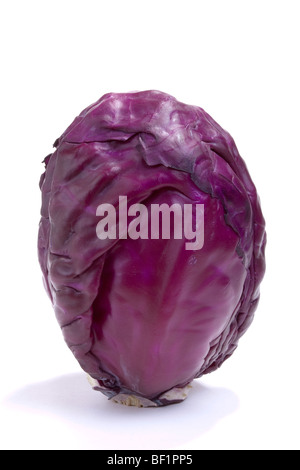 Rohem ganz Rotkohl auf weißen Hintergrund isoliert Stockfoto