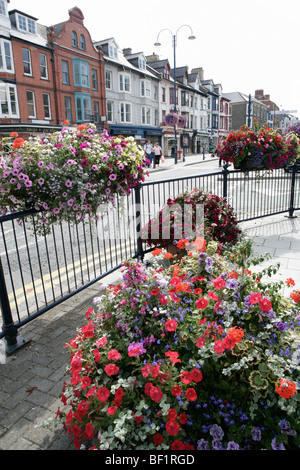 Stadt von Aberystwyth, Wales. Bunte Blumen Blick auf Aberystwyth Town Centre am Owain Glyndwr Platz. Stockfoto