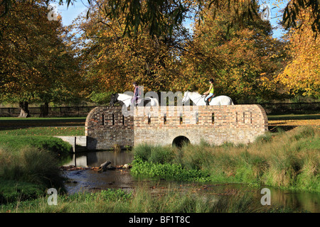 Pferde, die Brücke über Longford Fluß Bushy Park Royal Park in der Nähe von Hampton Court, Middlesex, England, UK. Stockfoto