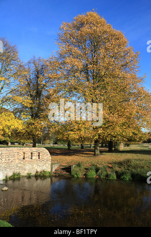 Herbst auf Lindenallee, Bushy Park, und Brücke über Longford im königlichen Park in der Nähe von Hampton Court, Middlesex, England, UK. Stockfoto