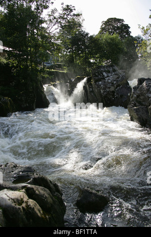 Dorf von Betws-y-Coed, Wales. Der Fluss Llugwy in vollem Gange bei Pont-y-paar Wasserfällen in der Nähe von Betwe-Y-Coed Pont-y-paar Brücke. Stockfoto