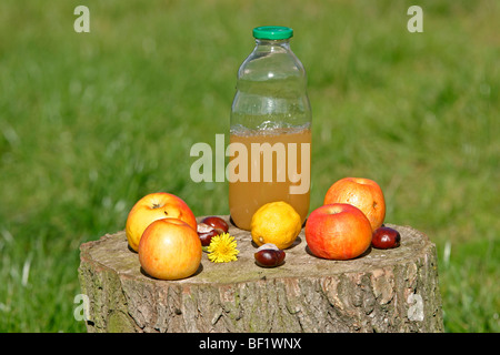 Äpfel, Kastanien und eine Flasche Apfelsaft Stockfoto