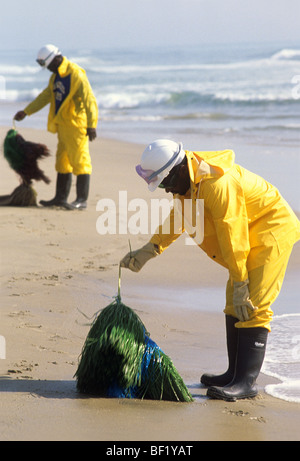 Ölpest am Strand in Orange County, CA, aufräumen Stockfoto