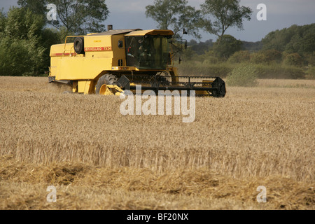 Dorf von Coddington, England. Ein New Holland TX34 Meca Mähdrescher bei der Arbeit in einem Feld von Cheshire. Stockfoto