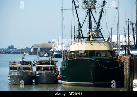 Fischerboote im Hafen von Vancouver gefesselt Stockfoto