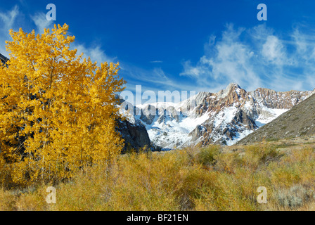Herbstliche Aussicht im McGee Creek-Tal, die Berge der Sierra Nevada, Kalifornien Stockfoto