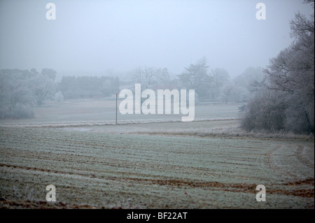 Nebligen Winter Blick über ein Stoppelfeld mit starkem Frost in Hampshire, England Stockfoto