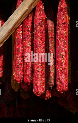 Capsicum annuum oder Chili peppers Lufttrocknung ungarische Paprika - Kalocsa, Ungarn Stockfoto