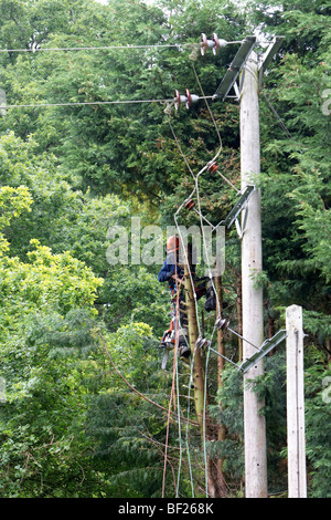 Holzfäller Abholzen von Leylandii Bäumen in der Nähe von Hochspannung elektrische Leitungen in Hampshire, England. Stockfoto