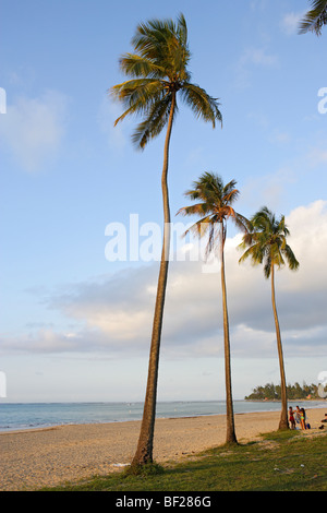 Menschen und Palmen Bäume am Strand unter bewölktem Himmel Luquillo, Puerto Rico, Karibik, Amerika Stockfoto