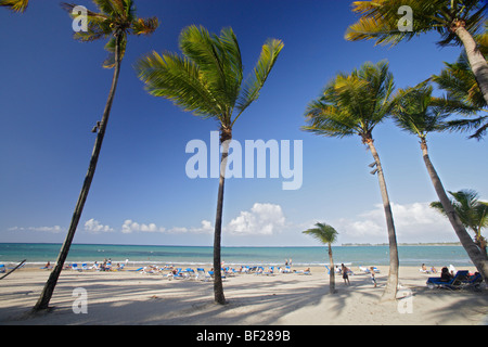 Menschen und Palmen Bäume am Strand unter blauem Himmel, Isla Verde, Puerto Rico, Karibik, Amerika Stockfoto