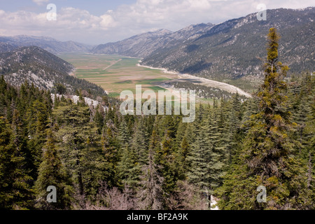Ehemalige See, See Golovasi, umgeben von Tannen und Zedern Wald abgelassen; im Taurusgebirge, Südtürkei. Stockfoto