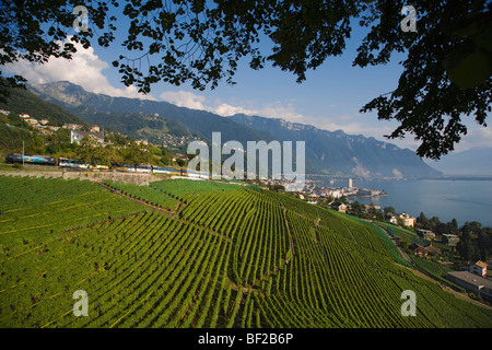 GoldenPass Panoramic Zug, Montreux, Kanton Waadt, Schweiz Stockfoto