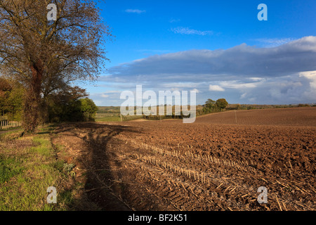 Gepflügte Felder im Herbst am Nachmittag Licht, auf die tiefen in der Nähe von Chilham, Kent, UK Stockfoto