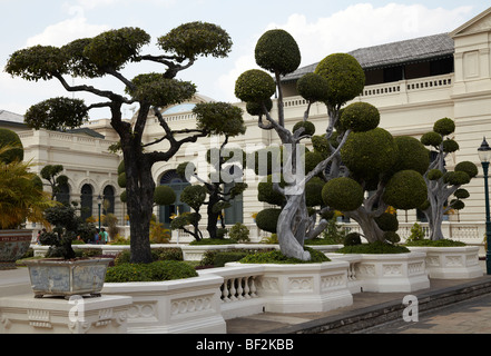 Zierbäume (Formschnitt) im Grand Palace in Bangkok, Thailand Stockfoto