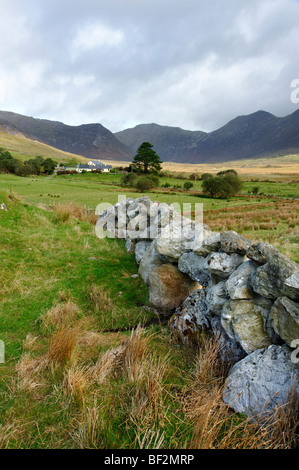 Steinmauer mit Blick auf die Bergkette der Twelve Bens. Connemara. Co Galway. Irland 2009. Stockfoto