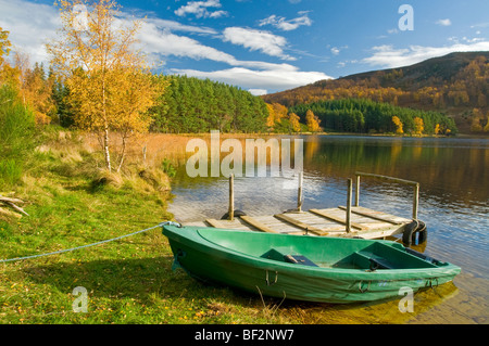 Loch Pityoulish in der Nähe von Aviemore im Oktober Herbstfärbung Inverness-Shire schottischen Highlands SCO 5476 Stockfoto