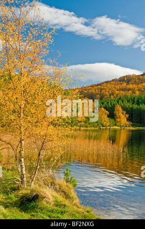 Loch Pityoulish in der Nähe von Aviemore im Oktober Herbst Farben Stockfoto