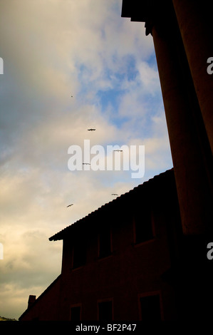 Möwen am Himmel über Menton Süden von Frankreich Cote De Zure abstrakt Stockfoto