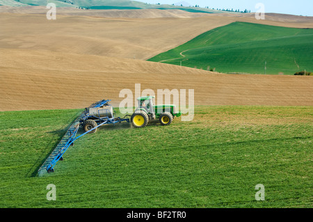 Anwendung von Herbiziden zur Unkrautbekämpfung auf einem Feld des frühen Wachstums-Winter-Weizen gemahlen / Palouse Region, Washington, USA. Stockfoto