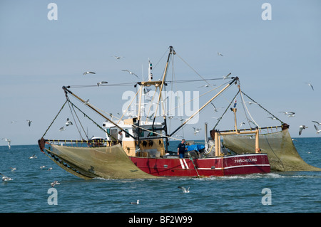 Vlıeland Terschellıng Texel Angeln Wattenmeer Wattenmeer Niederlande Stockfoto