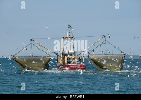 Vlıeland Terschellıng Texel Angeln Wattenmeer Wattenmeer Niederlande Stockfoto