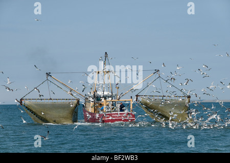 Vlıeland Terschellıng Texel Angeln Wattenmeer Wattenmeer Niederlande Stockfoto