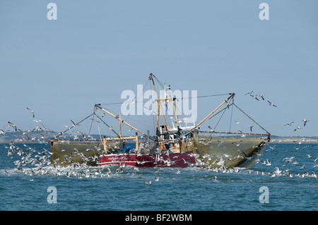 Vlıeland Terschellıng Texel Angeln Wattenmeer Wattenmeer Niederlande Stockfoto