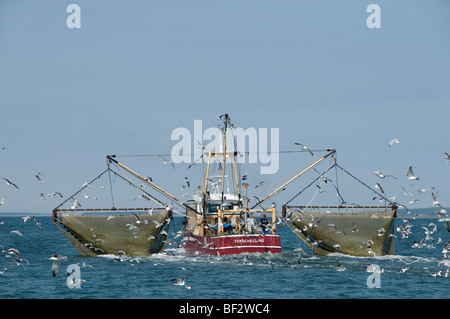 Vlıeland Terschellıng Texel Angeln Wattenmeer Wattenmeer Niederlande Stockfoto