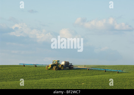 Anwendung von Herbiziden zur Unkrautbekämpfung auf einem Feld des frühen Wachstums-Winter-Weizen gemahlen / Palouse Region, Washington, USA. Stockfoto