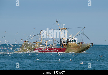 Vlıeland Terschellıng Texel Angeln Wattenmeer Wattenmeer Niederlande Stockfoto