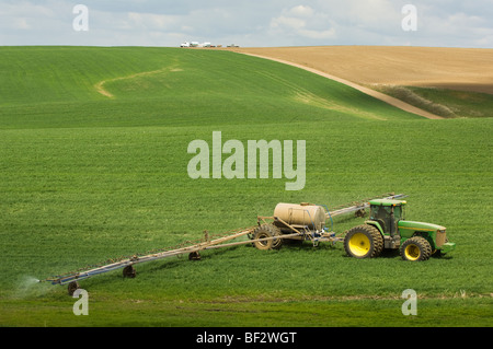 Anwendung von Herbiziden zur Unkrautbekämpfung auf einem Feld des frühen Wachstums-Winter-Weizen gemahlen / Palouse Region, Washington, USA. Stockfoto