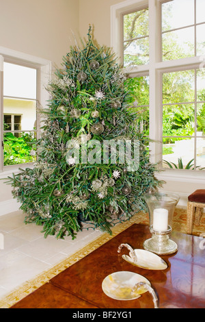 Weihnachtsbaum im Wohnzimmer Stockfoto