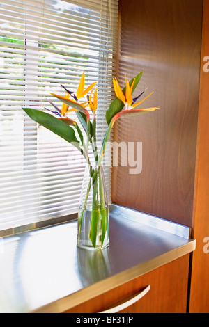 Vase auf einem Schrank Stockfoto