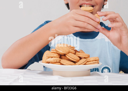 Nahaufnahme eines jungen Kekse Stockfoto