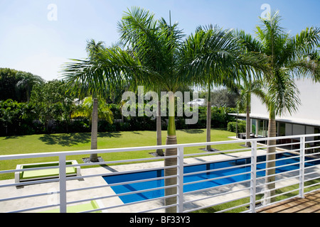 Palmen am Schwimmbad Stockfoto