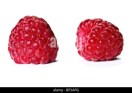 Himbeeren, die isoliert auf weißem Hintergrund, Nahaufnahme Stockfoto