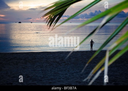 Frau Sonnenuntergang an einem tropischen Strand in Thailand. Palmblatt-Baum im Vordergrund. Ko Phi Phi Insel. Stockfoto