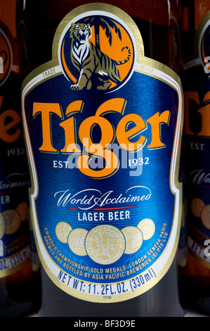 In Flaschen Tiger Bier Stockfoto