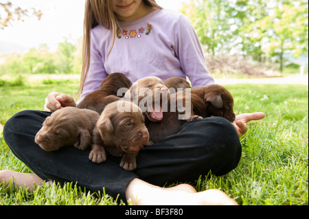 Jugendliche halten Welpen Stockfoto