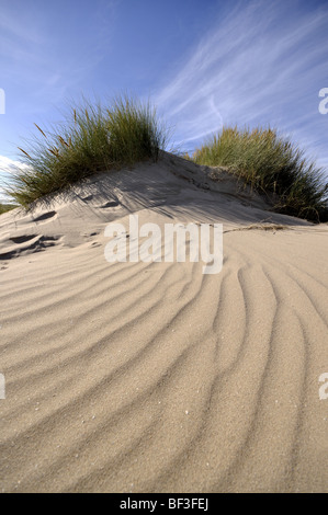 Sanddünen Talacre Strand Point Of Ayr North Wales uk Stockfoto