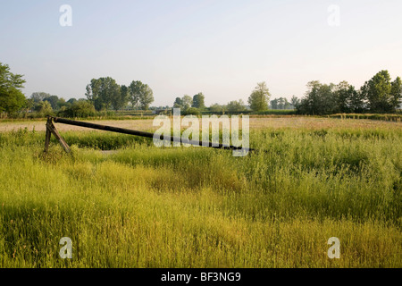 Grünland in der Nähe von Mortara Italien Stockfoto