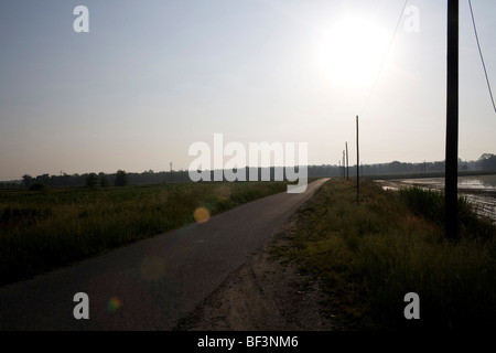 Landstraße in der Nähe von Mortara Italien Stockfoto