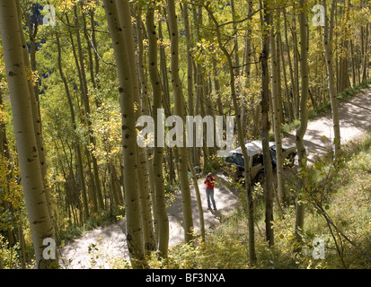 Eine Frau fotografiert Colorado Espen im Herbst Stockfoto