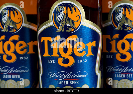 In Flaschen Tiger Bier Stockfoto