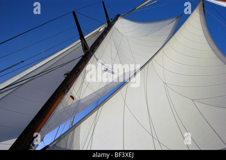 Niedriger Blick hinauf zum hölzernen VorMast und den vollen weißen Segeln des dreimastigen Schoners Fleurtje unter Segel vor einem klaren blauen Himmel. Stockfoto