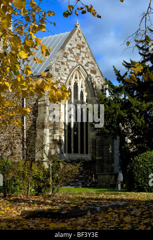 Wimborne Minster angesehen im Herbst, wo die goldenen Blätter zu fallen begonnen haben Stockfoto